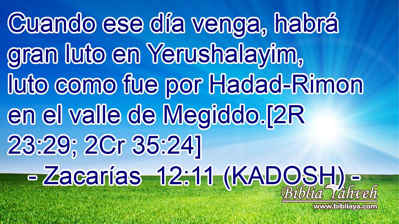  Cuando ese día venga, habrá gran luto en Yerushalayim, luto como fue por Hadad-Rimon en el valle de Megiddo.[2R 23:29; 2Cr 35:24] 