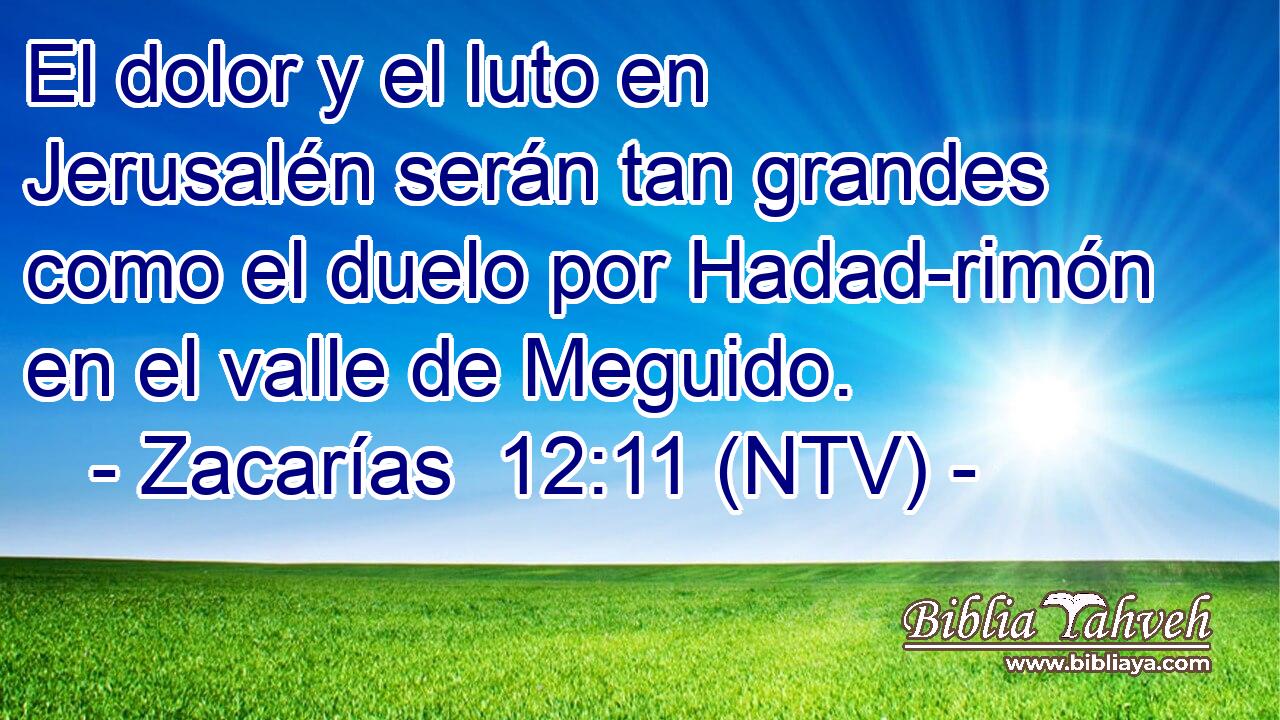 El dolor y el luto en Jerusalén serán tan grandes como el duelo por Hadad-rimón en el valle de Meguido.