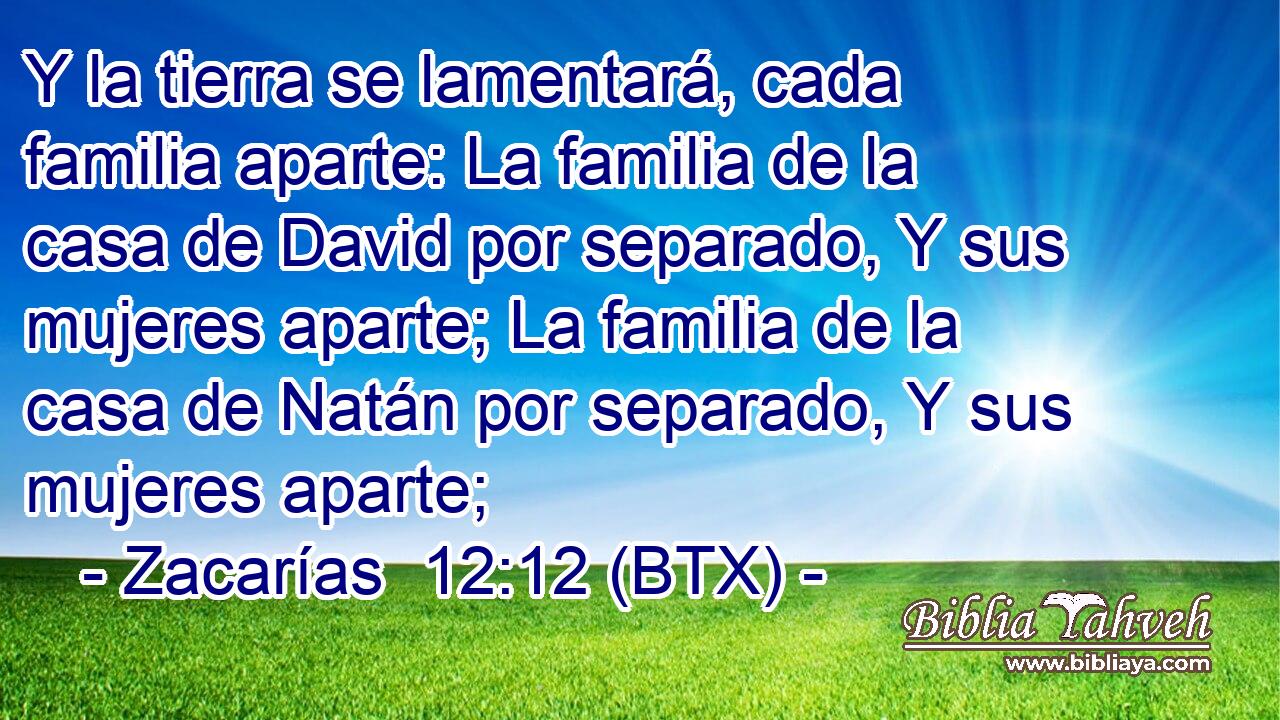Y la tierra se lamentará, cada familia aparte: La familia de la casa de David por separado, Y sus mujeres aparte; La familia de la casa de Natán por separado, Y sus mujeres aparte;
