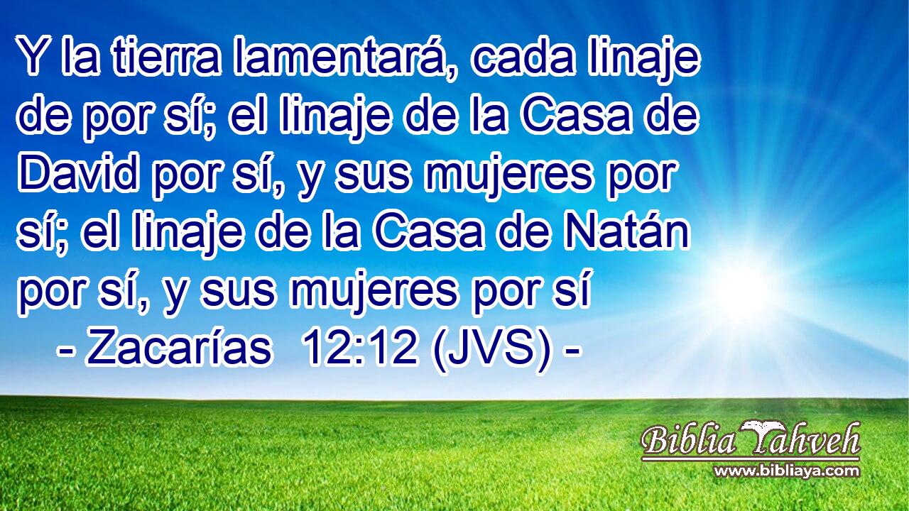 Y la tierra lamentará, cada linaje de por sí; el linaje de la Casa de David por sí, y sus mujeres por sí; el linaje de la Casa de Natán por sí, y sus mujeres por sí