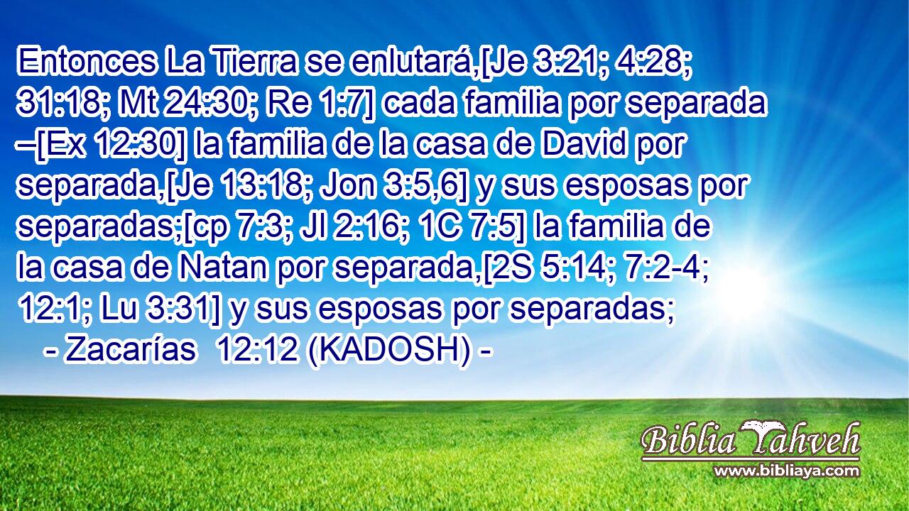  Entonces La Tierra se enlutará,[Je 3:21; 4:28; 31:18; Mt 24:30; Re 1:7] cada familia por separada –[Ex 12:30] la familia de la casa de David por separada,[Je 13:18; Jon 3:5,6] y sus esposas por separadas;[cp 7:3; Jl 2:16; 1C 7:5] la familia de la casa de Natan por separada,[2S 5:14; 7:2-4; 12:1; Lu 3:31] y sus esposas por separadas; 