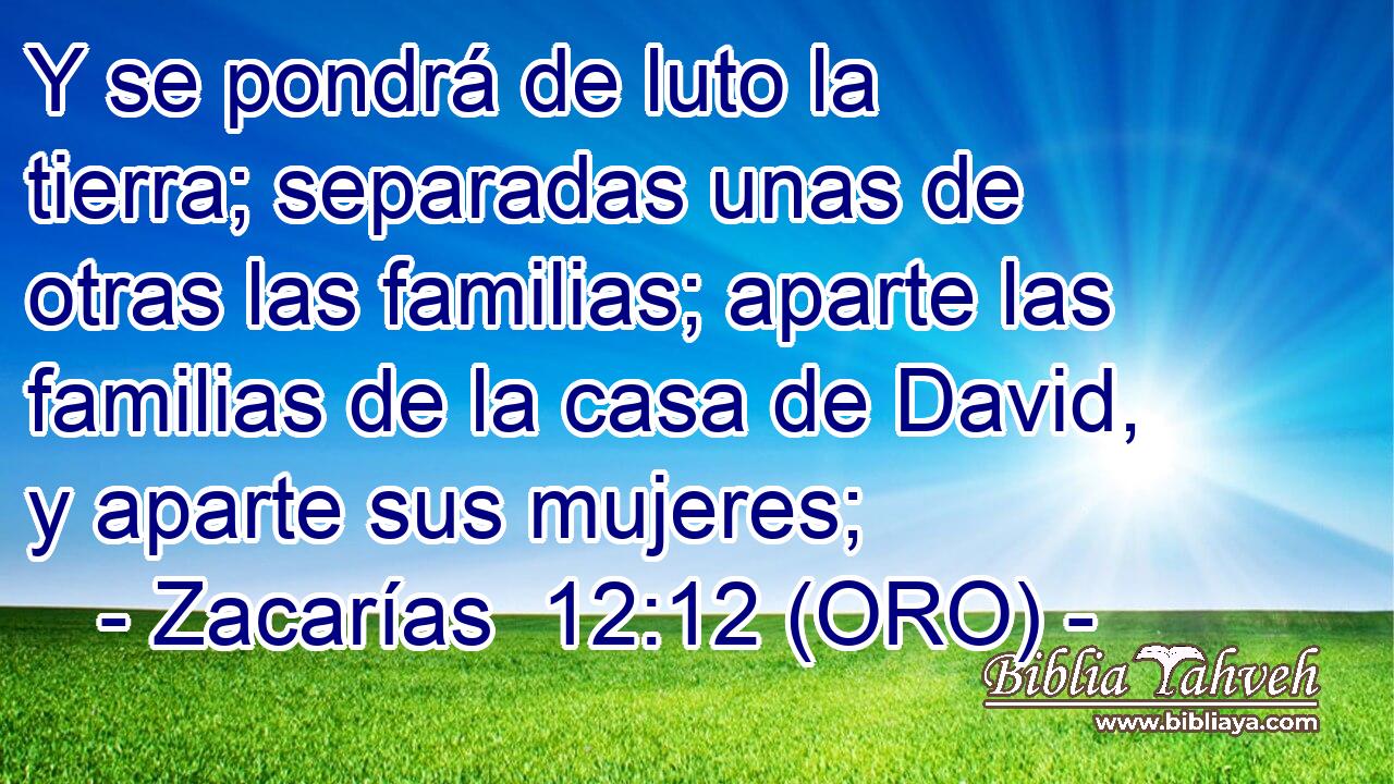  Y se pondrá de luto la tierra; separadas unas de otras las familias; aparte las familias de la casa de David, y aparte sus mujeres; 
