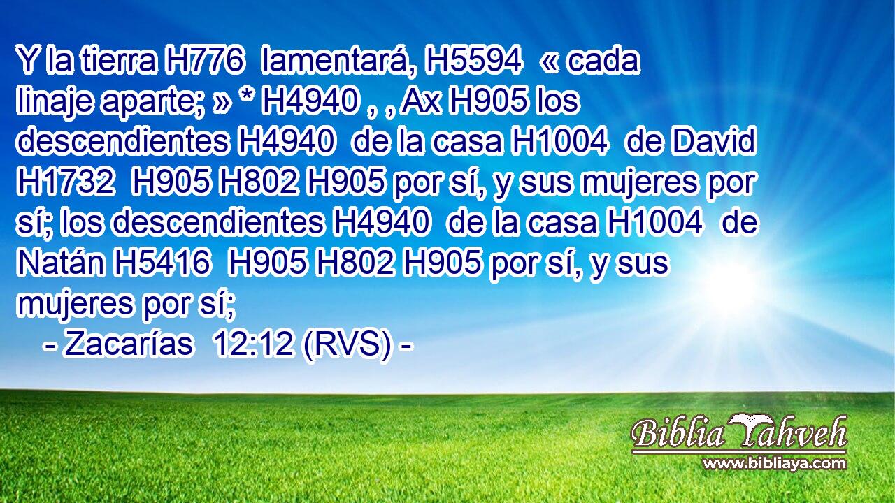 Y la tierra H776  lamentará, H5594  « cada linaje aparte; » * H4940 , , Ax H905 los descendientes H4940  de la casa H1004  de David H1732  H905 H802 H905 por sí, y sus mujeres por sí; los descendientes H4940  de la casa H1004  de Natán H5416  H905 H802 H905 por sí, y sus mujeres por sí; 