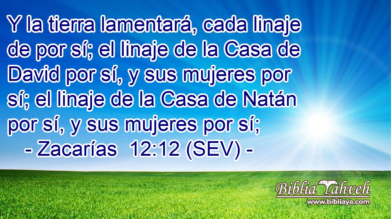 Y la tierra lamentará, cada linaje de por sí; el linaje de la Casa de David por sí, y sus mujeres por sí; el linaje de la Casa de Natán por sí, y sus mujeres por sí;