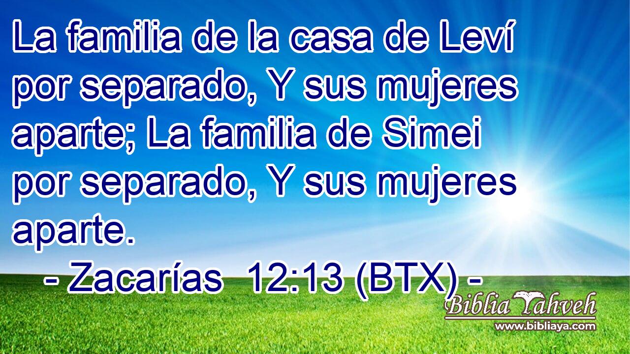 La familia de la casa de Leví por separado, Y sus mujeres aparte; La familia de Simei por separado, Y sus mujeres aparte.