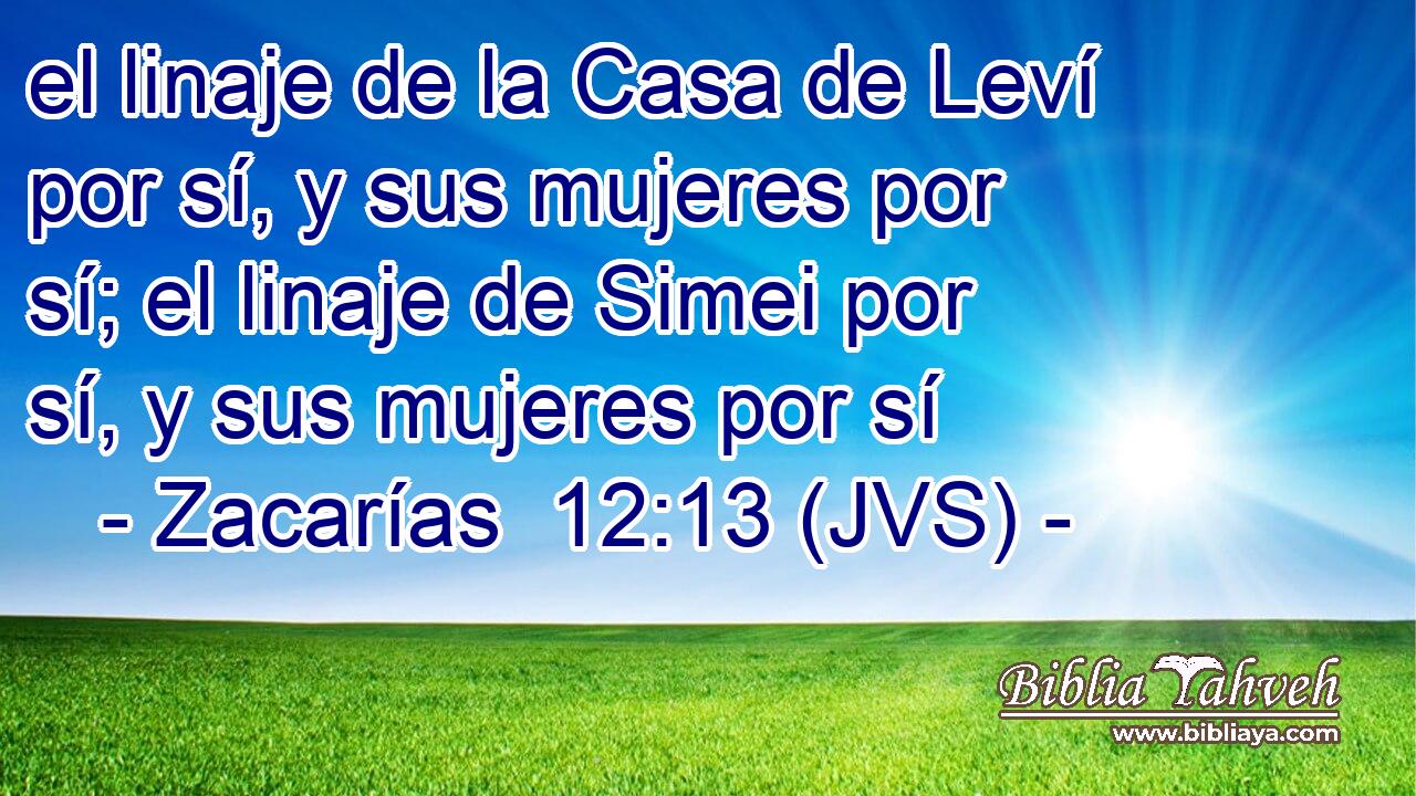 el linaje de la Casa de Leví por sí, y sus mujeres por sí; el linaje de Simei por sí, y sus mujeres por sí