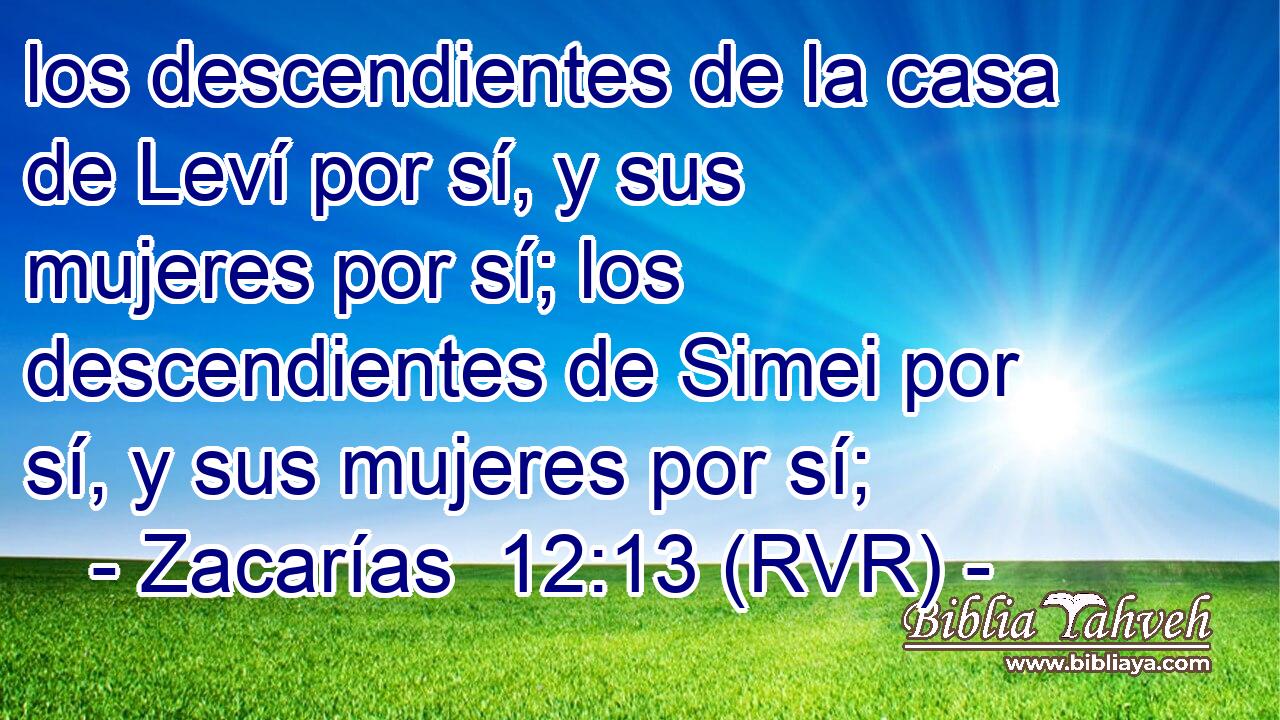 los descendientes de la casa de Leví por sí, y sus mujeres por sí; los descendientes de Simei por sí, y sus mujeres por sí;