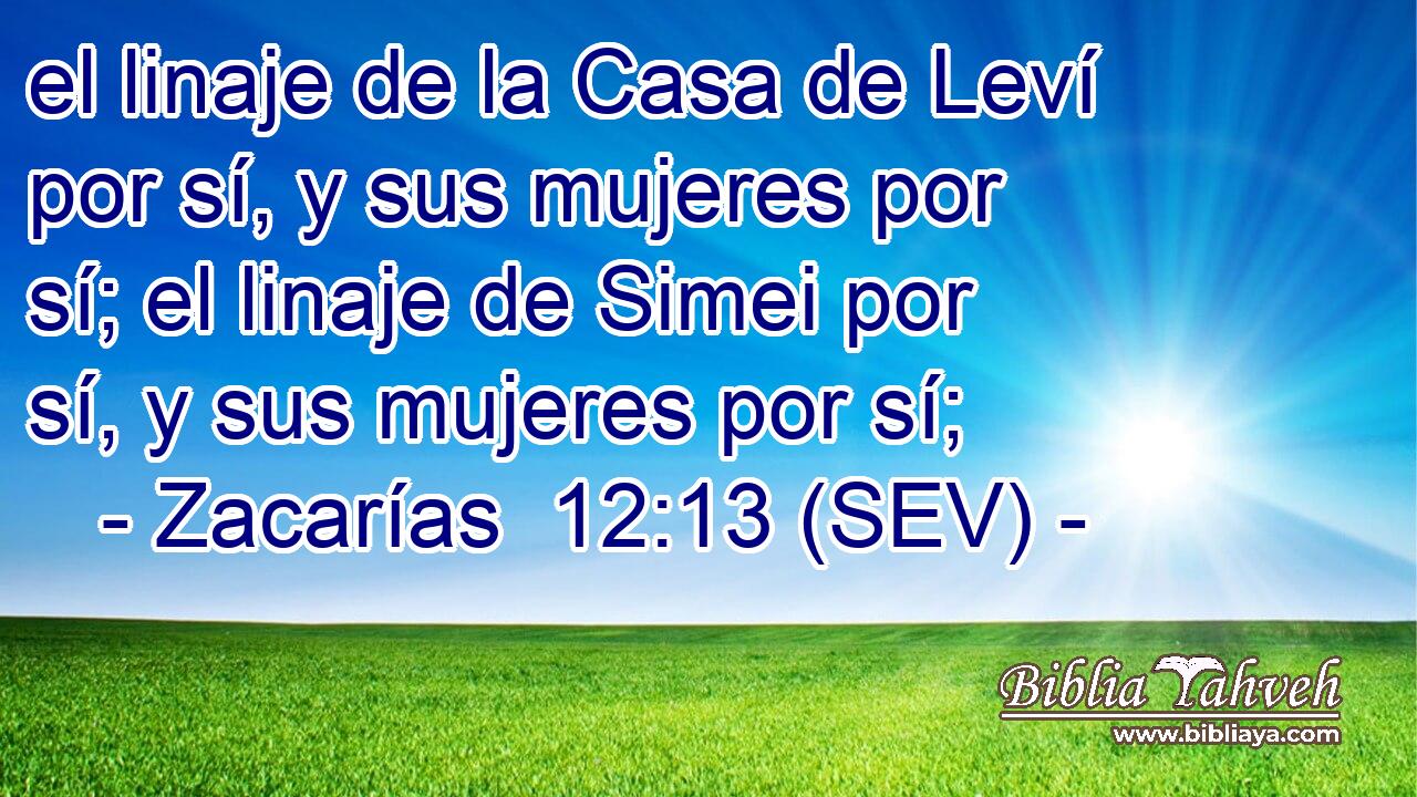 el linaje de la Casa de Leví por sí, y sus mujeres por sí; el linaje de Simei por sí, y sus mujeres por sí;