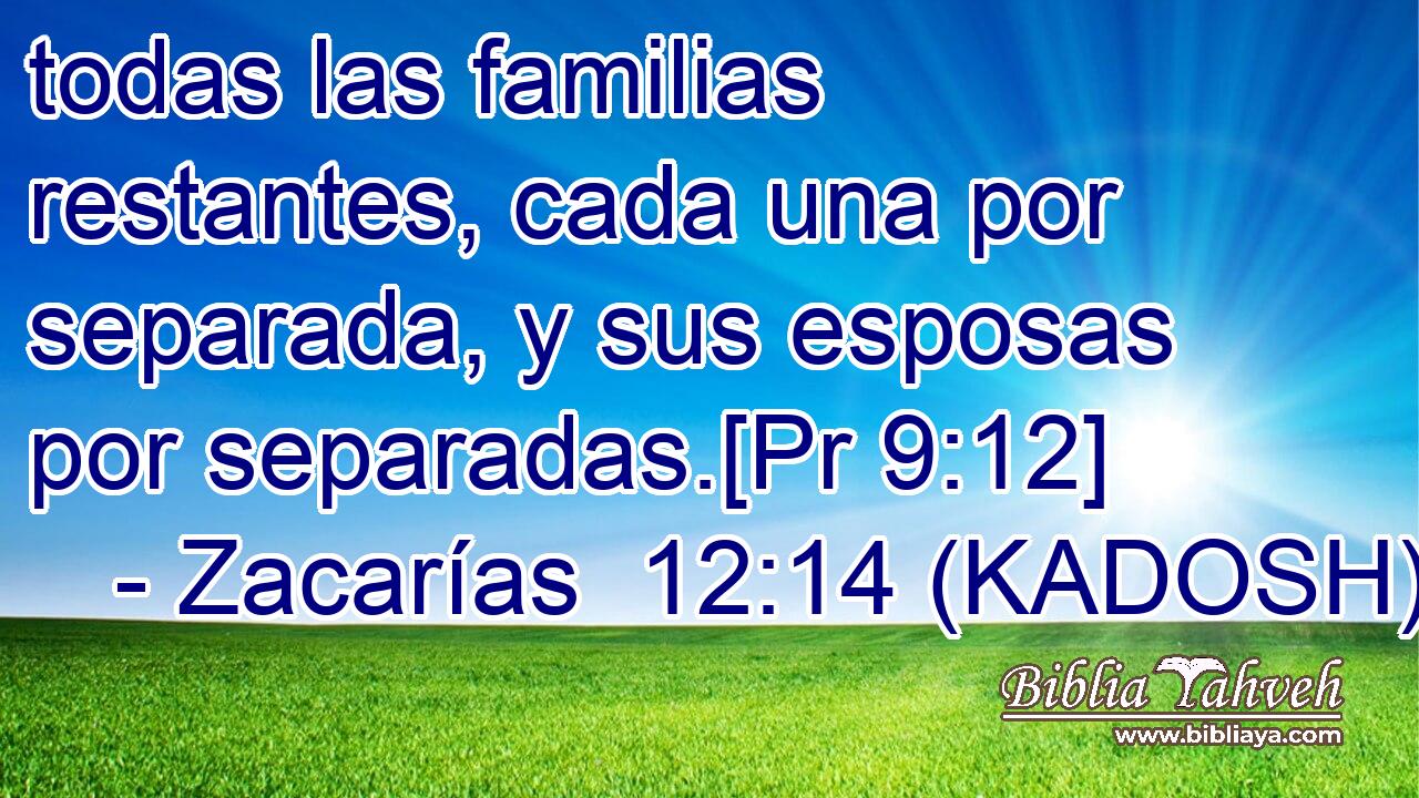 todas las familias restantes, cada una por separada, y sus esposas por separadas.[Pr 9:12] 