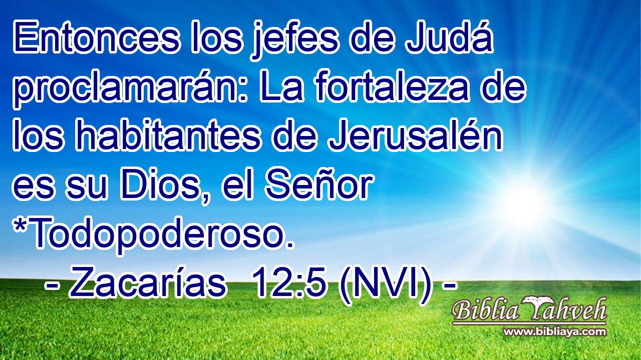  Entonces los jefes de Judá proclamarán: La fortaleza de los habitantes de Jerusalén es su Dios, el Señor *Todopoderoso. 