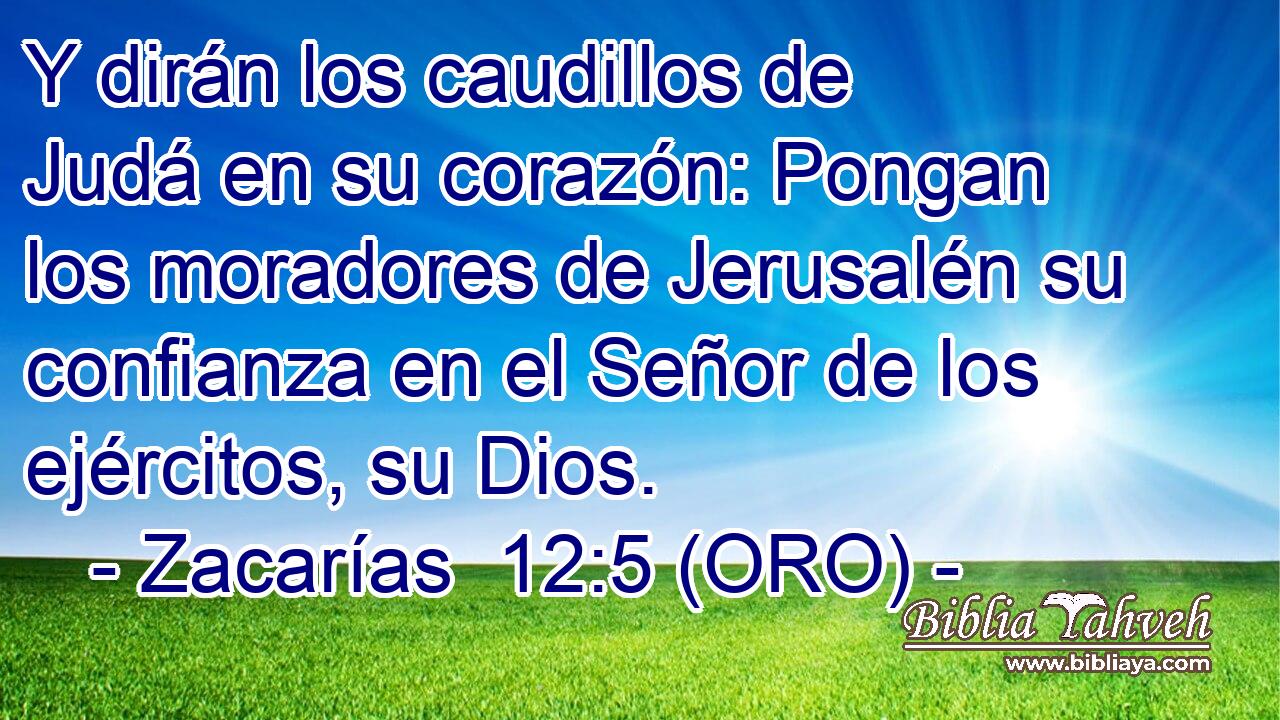  Y dirán los caudillos de Judá en su corazón: Pongan los moradores de Jerusalén su confianza en el Señor de los ejércitos, su Dios. 