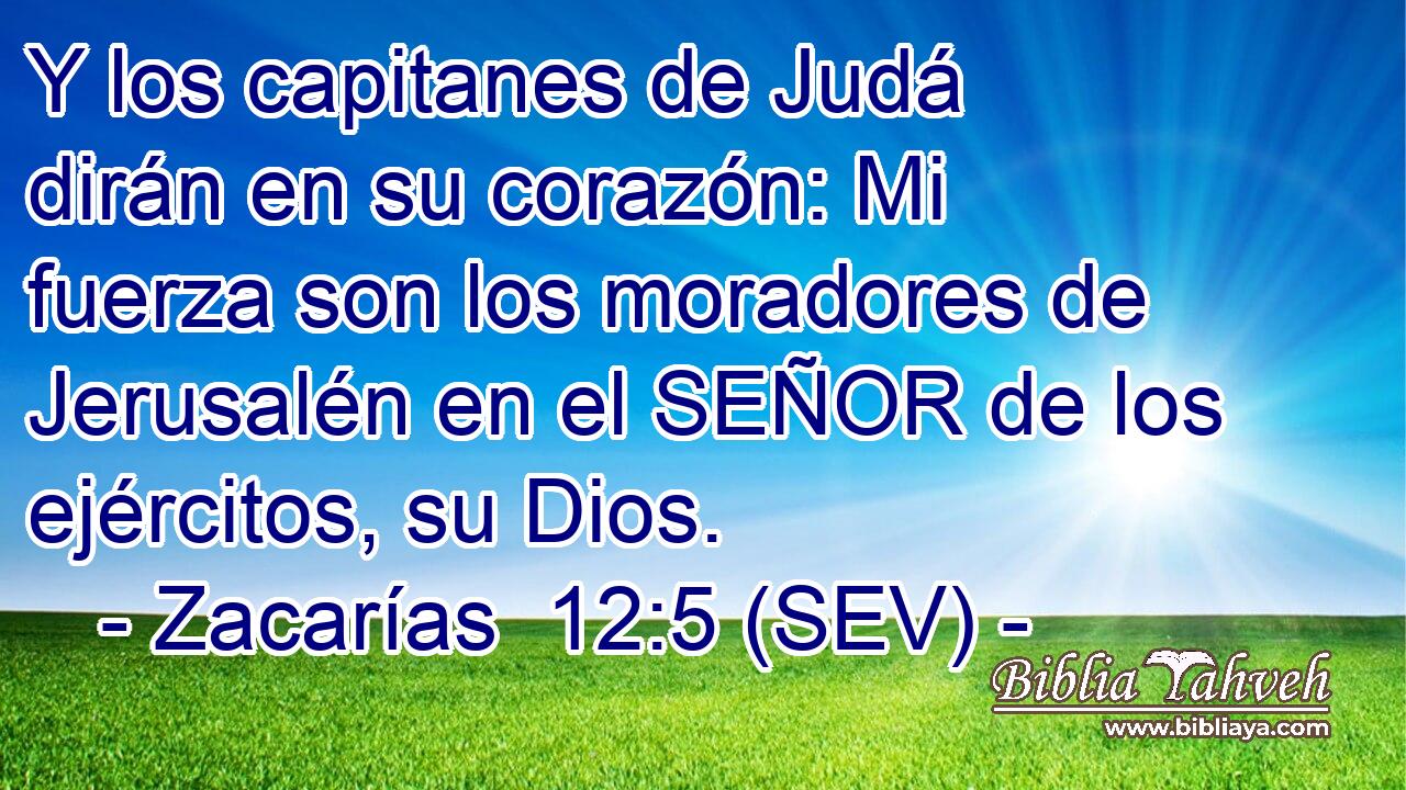 Y los capitanes de Judá dirán en su corazón: Mi fuerza son los moradores de Jerusalén en el SEÑOR de los ejércitos, su Dios.