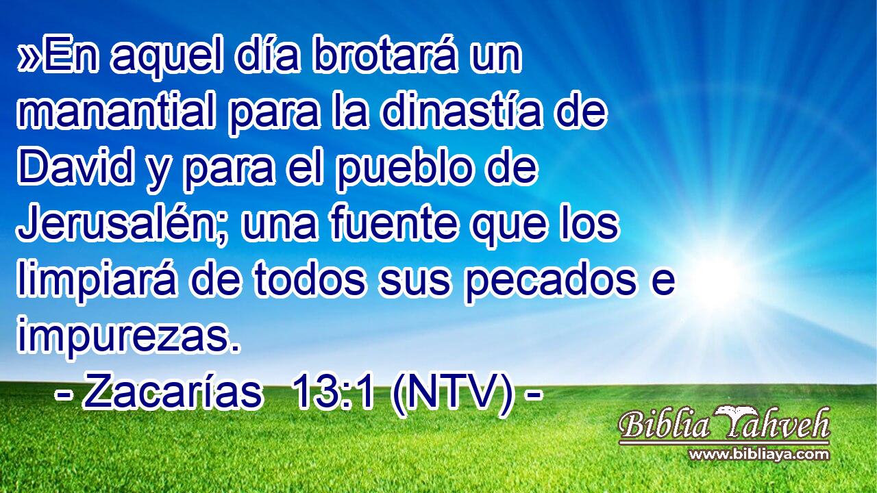 »En aquel día brotará un manantial para la dinastía de David y para el pueblo de Jerusalén; una fuente que los limpiará de todos sus pecados e impurezas.