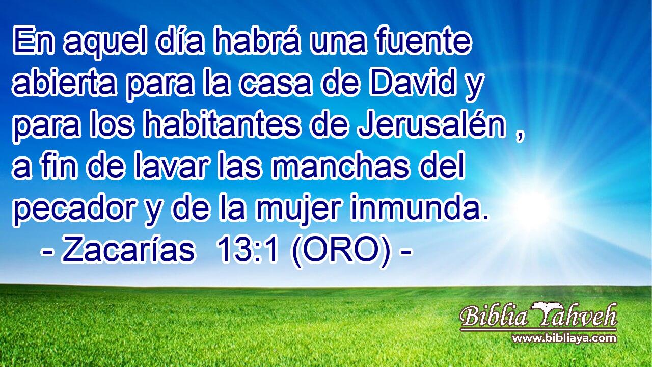  En aquel día habrá una fuente abierta para la casa de David y para los habitantes de Jerusalén , a fin de lavar las manchas del pecador y de la mujer inmunda. 