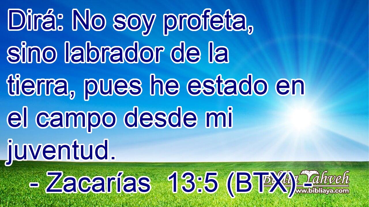 Dirá: No soy profeta, sino labrador de la tierra, pues he estado en el campo desde mi juventud.