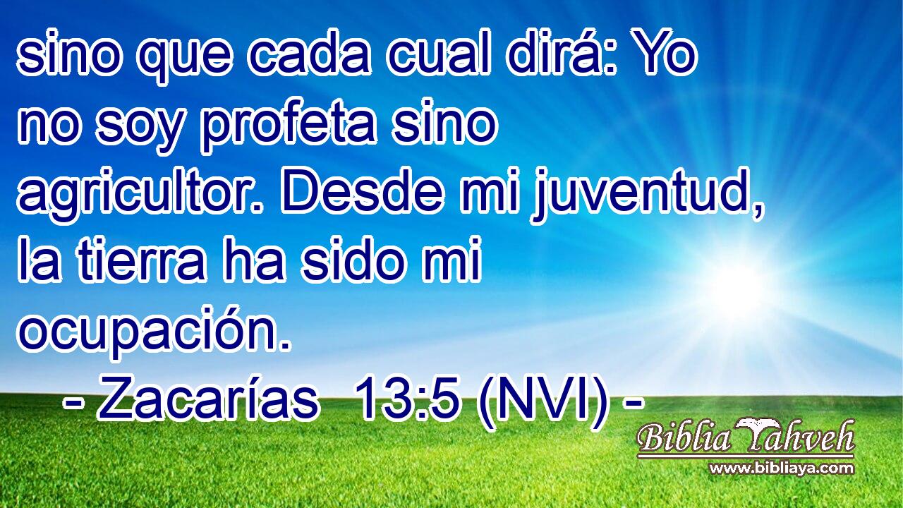  sino que cada cual dirá: Yo no soy profeta sino agricultor. Desde mi juventud, la tierra ha sido mi ocupación. 