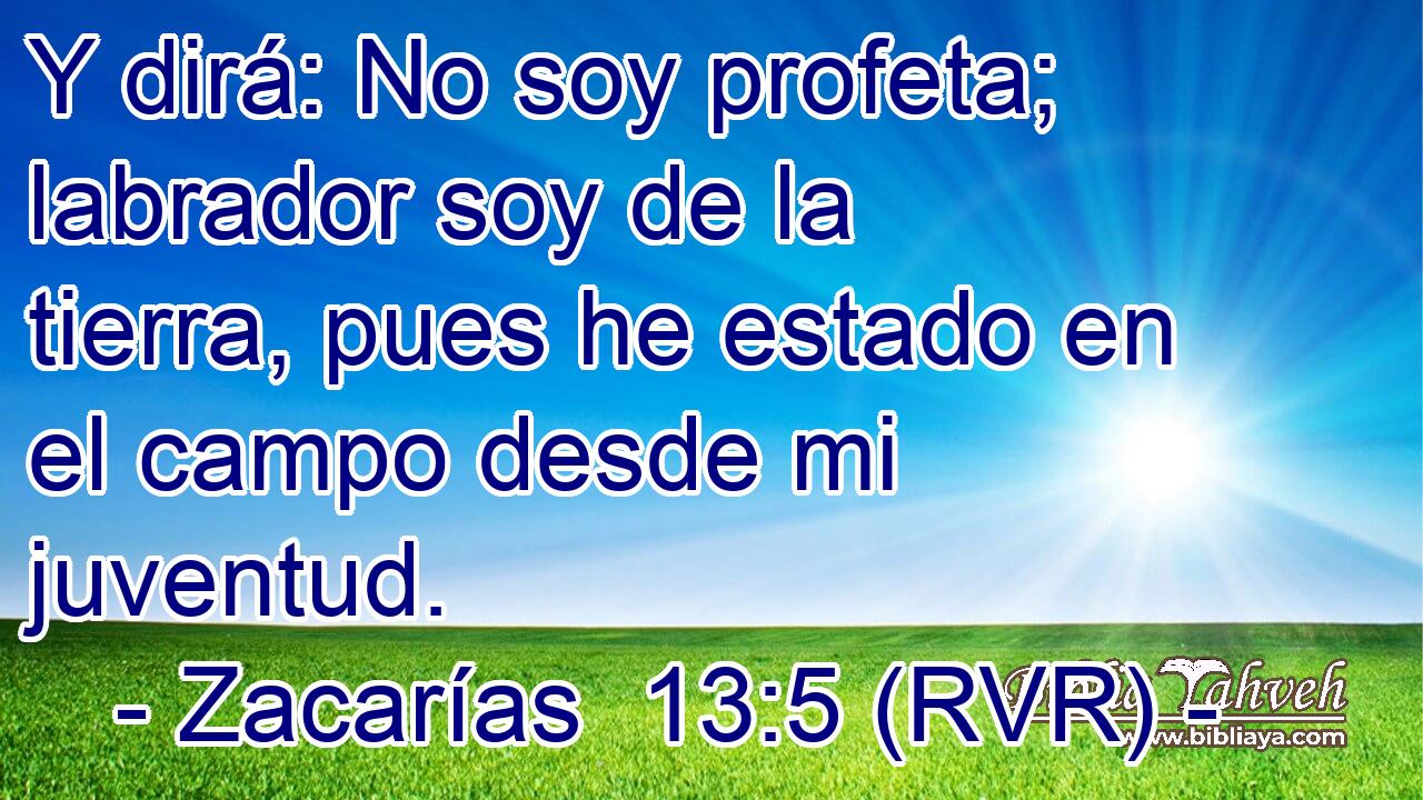 Y dirá: No soy profeta; labrador soy de la tierra, pues he estado en el campo desde mi juventud.