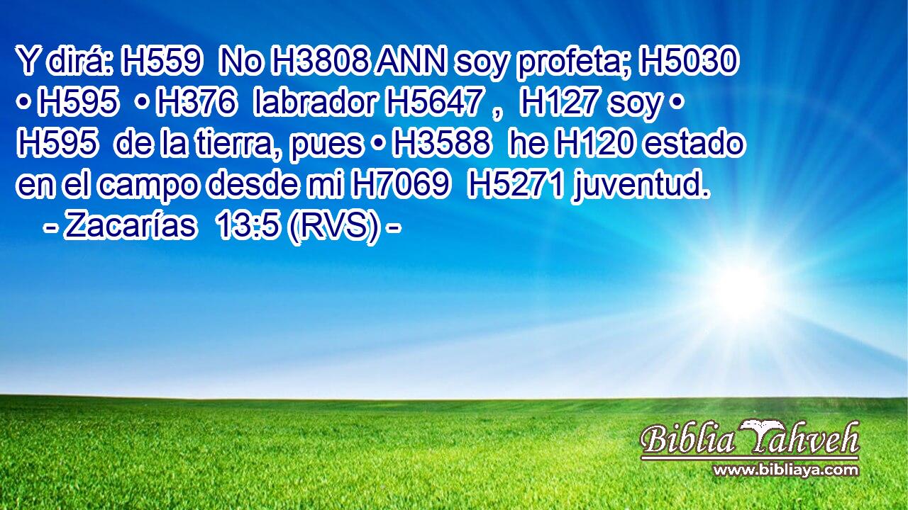 Y dirá: H559  No H3808 ANN soy profeta; H5030  • H595  • H376  labrador H5647 ,  H127 soy • H595  de la tierra, pues • H3588  he H120 estado en el campo desde mi H7069  H5271 juventud. 