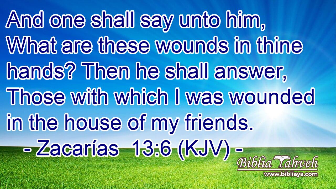 And one shall say unto him, What are these wounds in thine hands? Then he shall answer, Those with which I was wounded in the house of my friends.