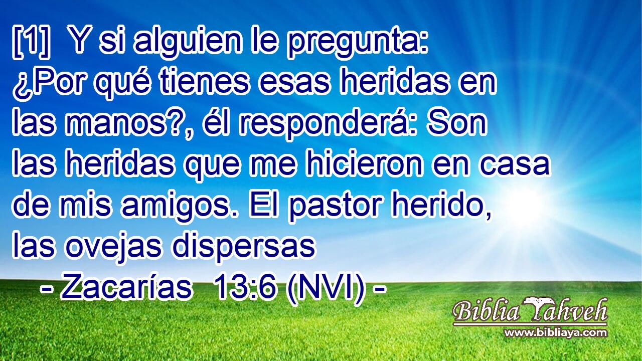  [1]  Y si alguien le pregunta: ¿Por qué tienes esas heridas en las manos?, él responderá: Son las heridas que me hicieron en casa de mis amigos. El pastor herido, las ovejas dispersas 