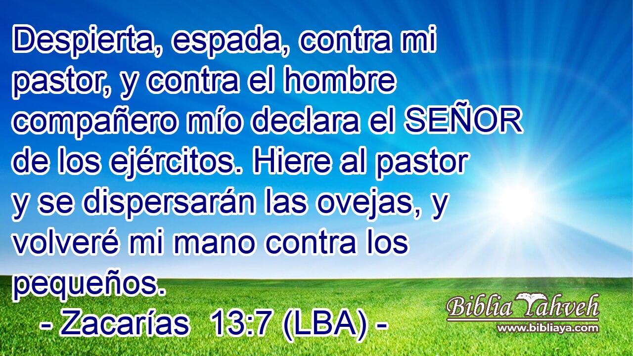 Despierta, espada, contra mi pastor, y contra el hombre compañero mío declara el SEÑOR de los ejércitos. Hiere al pastor y se dispersarán las ovejas, y volveré mi mano contra los pequeños.