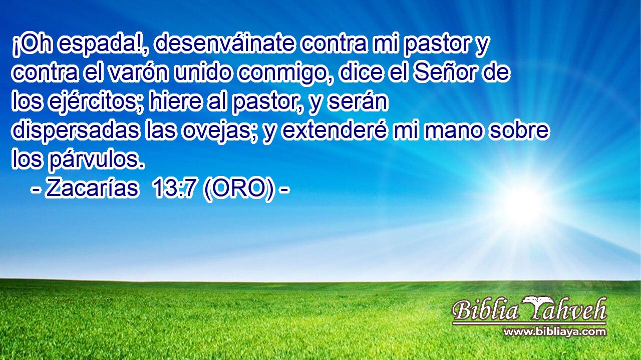  ¡Oh espada!, desenváinate contra mi pastor y contra el varón unido conmigo, dice el Señor de los ejércitos; hiere al pastor, y serán dispersadas las ovejas; y extenderé mi mano sobre los párvulos. 