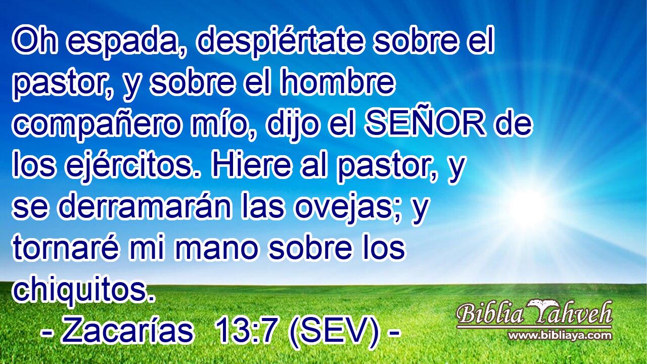 Oh espada, despiértate sobre el pastor, y sobre el hombre compañero mío, dijo el SEÑOR de los ejércitos. Hiere al pastor, y se derramarán las ovejas; y tornaré mi mano sobre los chiquitos.