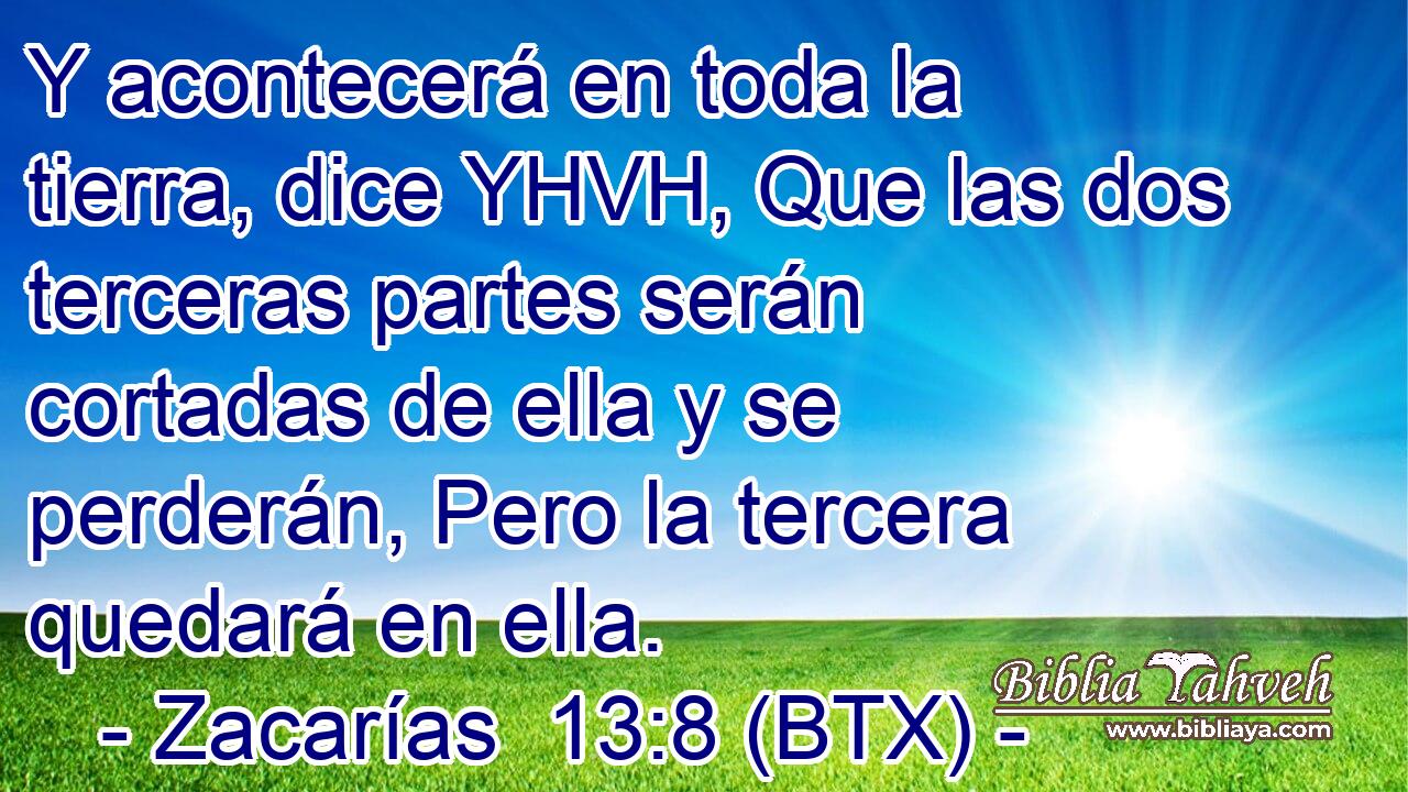 Y acontecerá en toda la tierra, dice YHVH, Que las dos terceras partes serán cortadas de ella y se perderán, Pero la tercera quedará en ella.