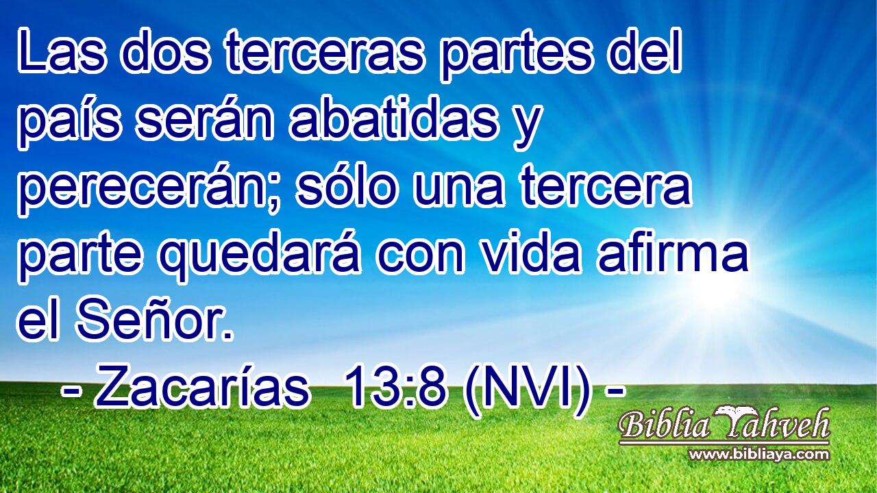  Las dos terceras partes del país serán abatidas y perecerán; sólo una tercera parte quedará con vida afirma el Señor. 
