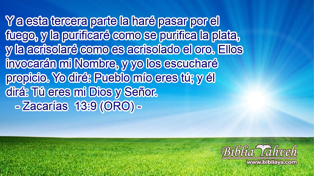  Y a esta tercera parte la haré pasar por el fuego, y la purificaré como se purifica la plata, y la acrisolaré como es acrisolado el oro. Ellos invocarán mi Nombre, y yo los escucharé propicio. Yo diré: Pueblo mío eres tú; y él dirá: Tú eres mi Dios y Señor. 