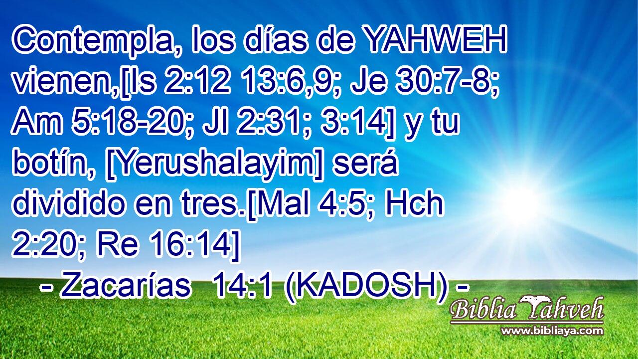  Contempla, los días de YAHWEH vienen,[Is 2:12 13:6,9; Je 30:7-8; Am 5:18-20; Jl 2:31; 3:14] y tu botín, [Yerushalayim] será dividido en tres.[Mal 4:5; Hch 2:20; Re 16:14] 
