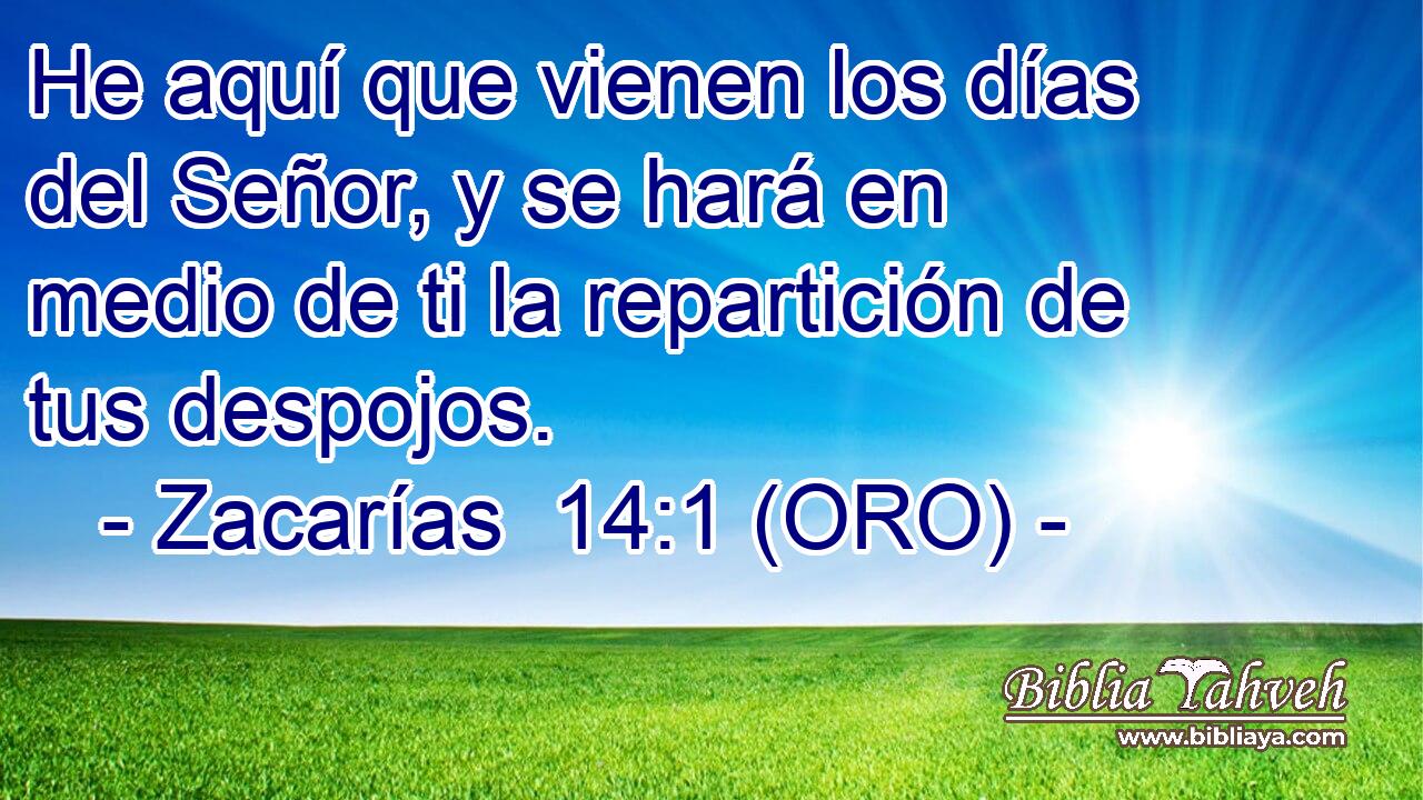  He aquí que vienen los días del Señor, y se hará en medio de ti la repartición de tus despojos. 