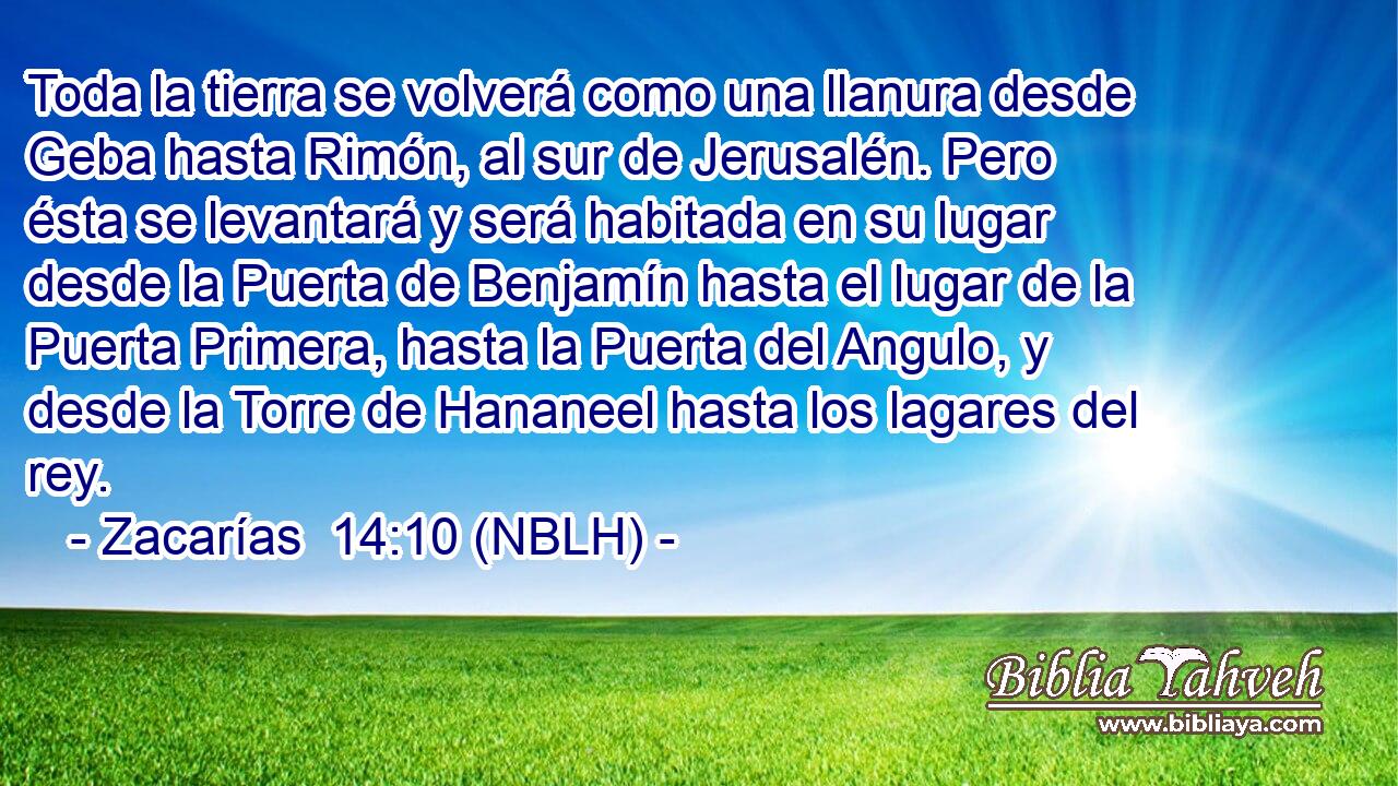  Toda la tierra se volverá como una llanura desde Geba hasta Rimón, al sur de Jerusalén. Pero ésta se levantará y será habitada en su lugar desde la Puerta de Benjamín hasta el lugar de la Puerta Primera, hasta la Puerta del Angulo, y desde la Torre de Hananeel hasta los lagares del rey. 