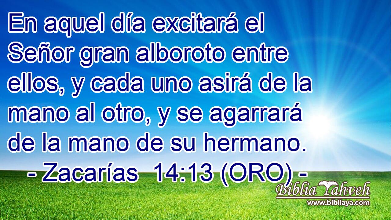 En aquel día excitará el Señor gran alboroto entre ellos, y cada uno asirá de la mano al otro, y se agarrará de la mano de su hermano. 