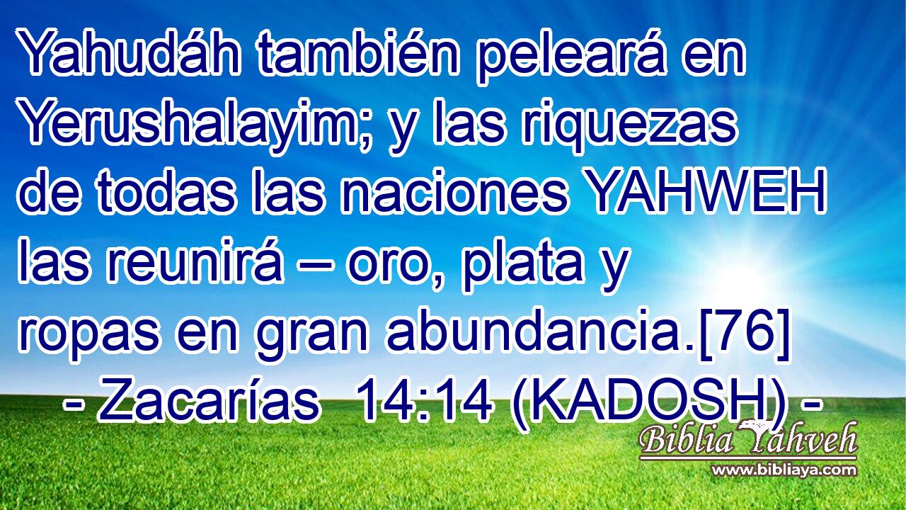  Yahudáh también peleará en Yerushalayim; y las riquezas de todas las naciones YAHWEH las reunirá – oro, plata y ropas en gran abundancia.[76] 