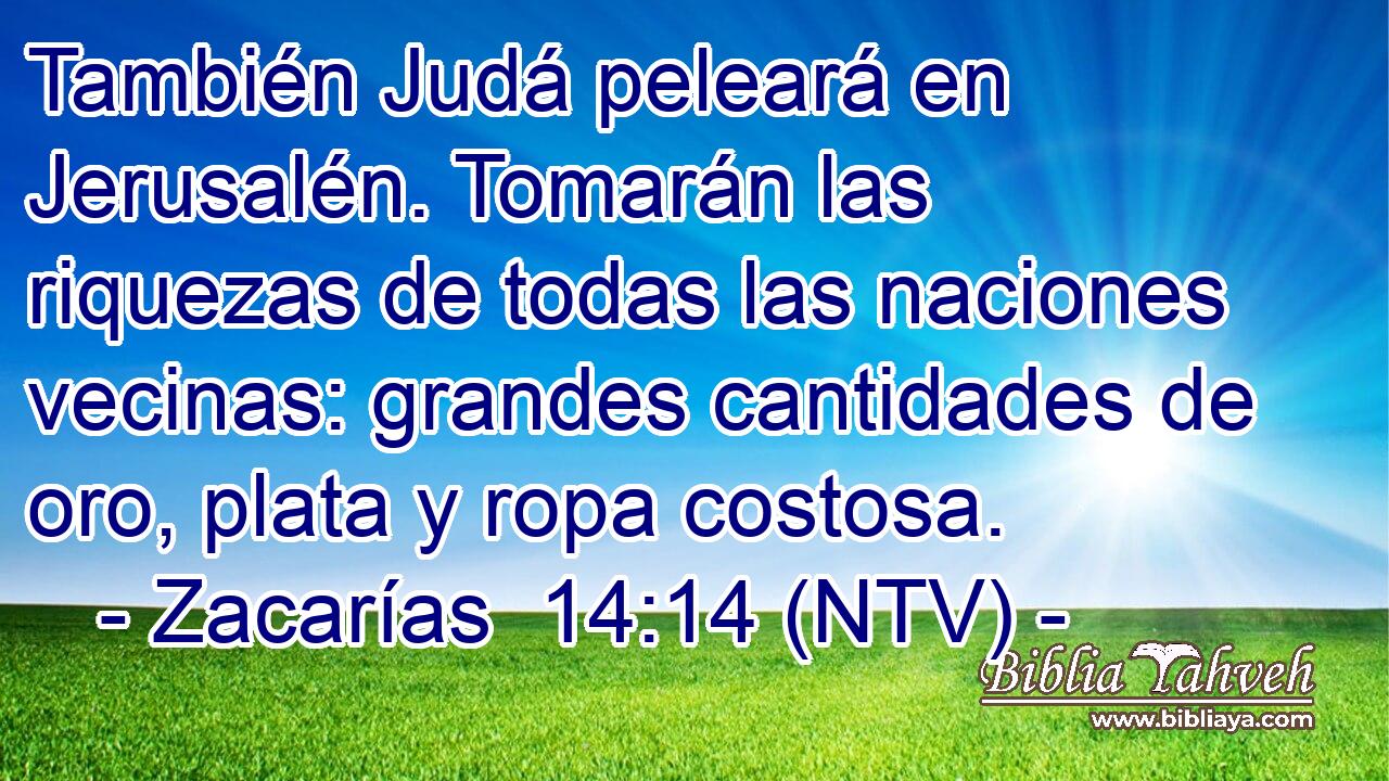 También Judá peleará en Jerusalén. Tomarán las riquezas de todas las naciones vecinas: grandes cantidades de oro, plata y ropa costosa.