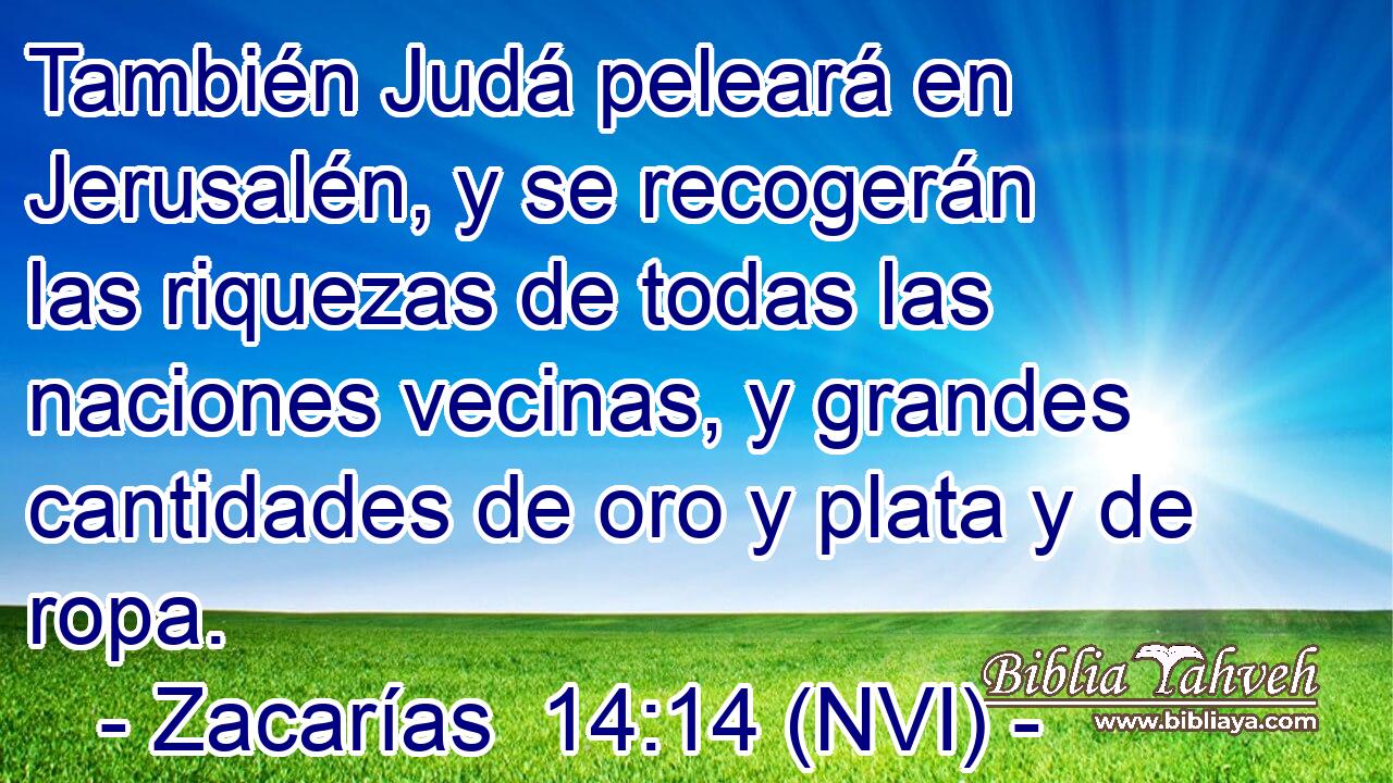  También Judá peleará en Jerusalén, y se recogerán las riquezas de todas las naciones vecinas, y grandes cantidades de oro y plata y de ropa. 