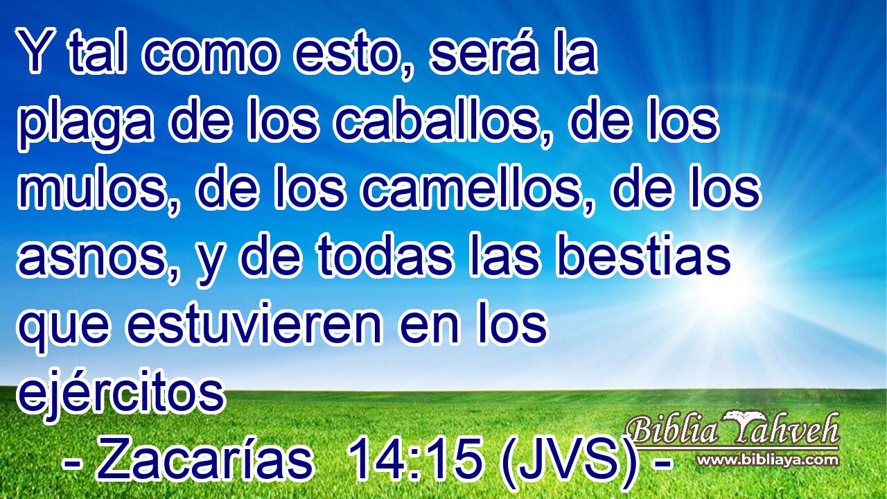 Y tal como esto, será la plaga de los caballos, de los mulos, de los camellos, de los asnos, y de todas las bestias que estuvieren en los ejércitos