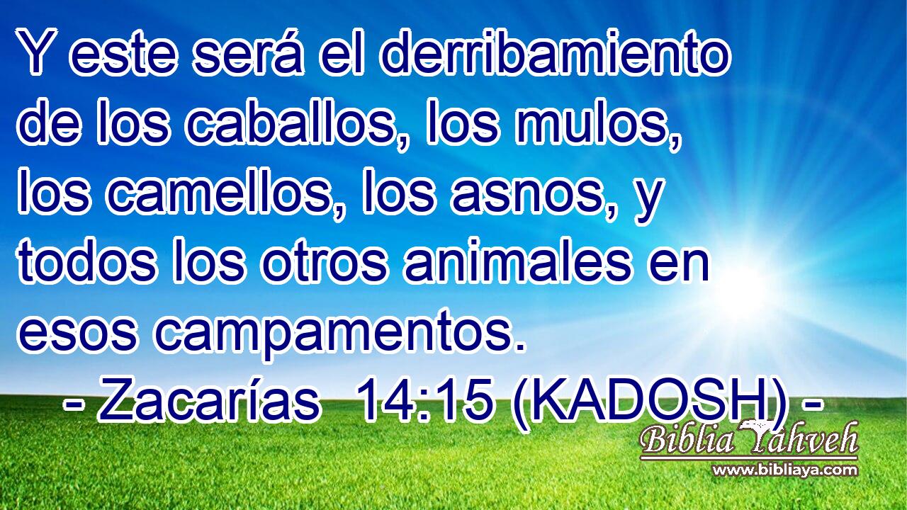  Y este será el derribamiento de los caballos, los mulos, los camellos, los asnos, y todos los otros animales en esos campamentos. 