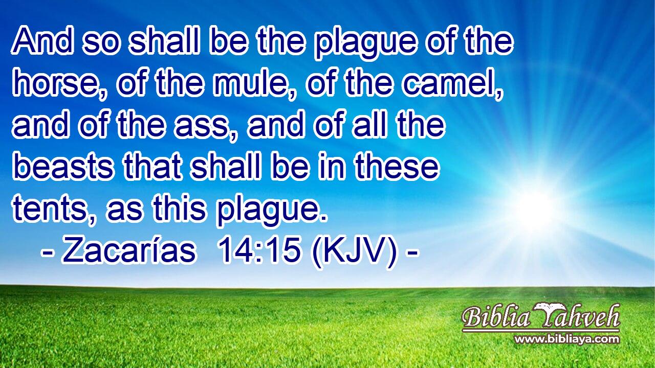 And so shall be the plague of the horse, of the mule, of the camel, and of the ass, and of all the beasts that shall be in these tents, as this plague.