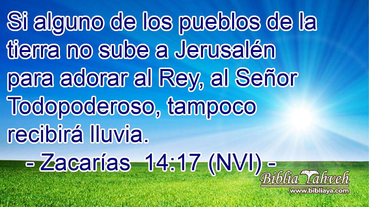  Si alguno de los pueblos de la tierra no sube a Jerusalén para adorar al Rey, al Señor Todopoderoso, tampoco recibirá lluvia. 