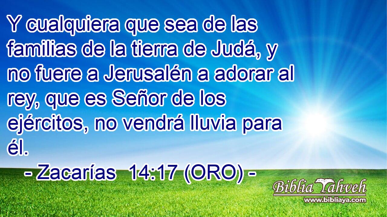 Y cualquiera que sea de las familias de la tierra de Judá, y no fuere a Jerusalén a adorar al rey, que es Señor de los ejércitos, no vendrá lluvia para él. 