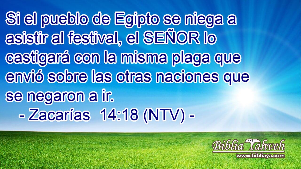 Si el pueblo de Egipto se niega a asistir al festival, el SEÑOR lo castigará con la misma plaga que envió sobre las otras naciones que se negaron a ir.
