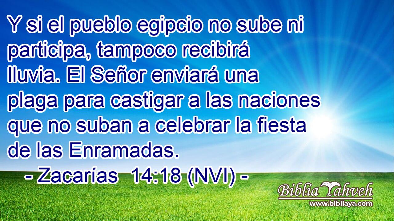  Y si el pueblo egipcio no sube ni participa, tampoco recibirá lluvia. El Señor enviará una plaga para castigar a las naciones que no suban a celebrar la fiesta de las Enramadas. 