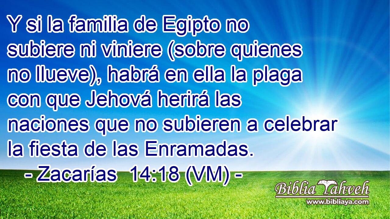  Y si la familia de Egipto no subiere ni viniere (sobre quienes no llueve), habrá en ella la plaga con que Jehová herirá las naciones que no subieren a celebrar la fiesta de las Enramadas. 
