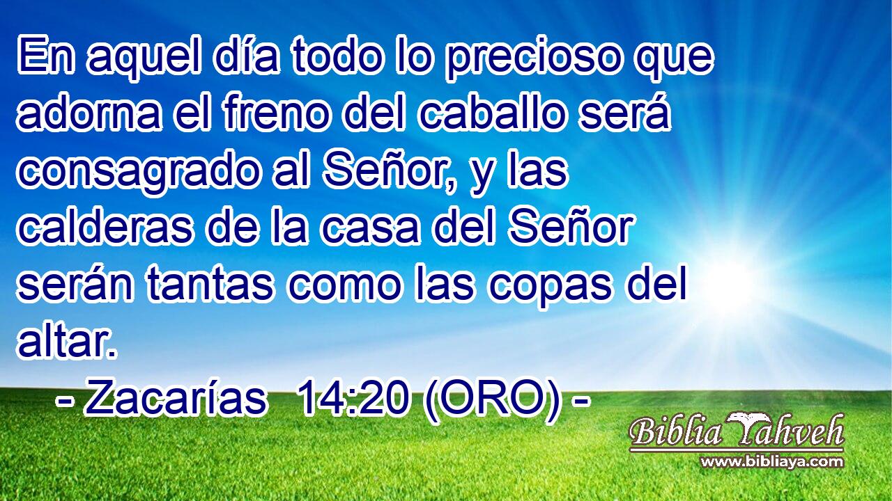 En aquel día todo lo precioso que adorna el freno del caballo será consagrado al Señor, y las calderas de la casa del Señor serán tantas como las copas del altar. 
