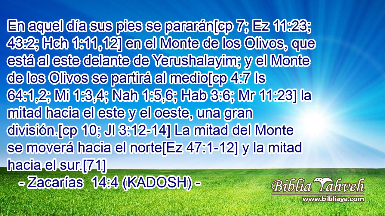  En aquel día sus pies se pararán[cp 7; Ez 11:23; 43:2; Hch 1:11,12] en el Monte de los Olivos, que está al este delante de Yerushalayim; y el Monte de los Olivos se partirá al medio[cp 4:7 Is 64:1,2; Mi 1:3,4; Nah 1:5,6; Hab 3:6; Mr 11:23] la mitad hacia el este y el oeste, una gran división.[cp 10; Jl 3:12-14] La mitad del Monte se moverá hacia el norte[Ez 47:1-12] y la mitad hacia el sur.[71] 