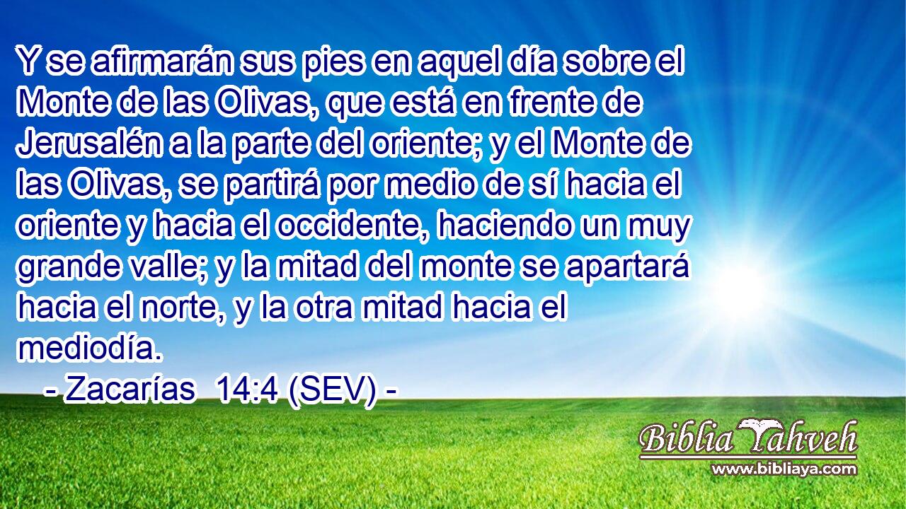 Y se afirmarán sus pies en aquel día sobre el Monte de las Olivas, que está en frente de Jerusalén a la parte del oriente; y el Monte de las Olivas, se partirá por medio de sí hacia el oriente y hacia el occidente, haciendo un muy grande valle; y la mitad del monte se apartará hacia el norte, y la otra mitad hacia el mediodía.