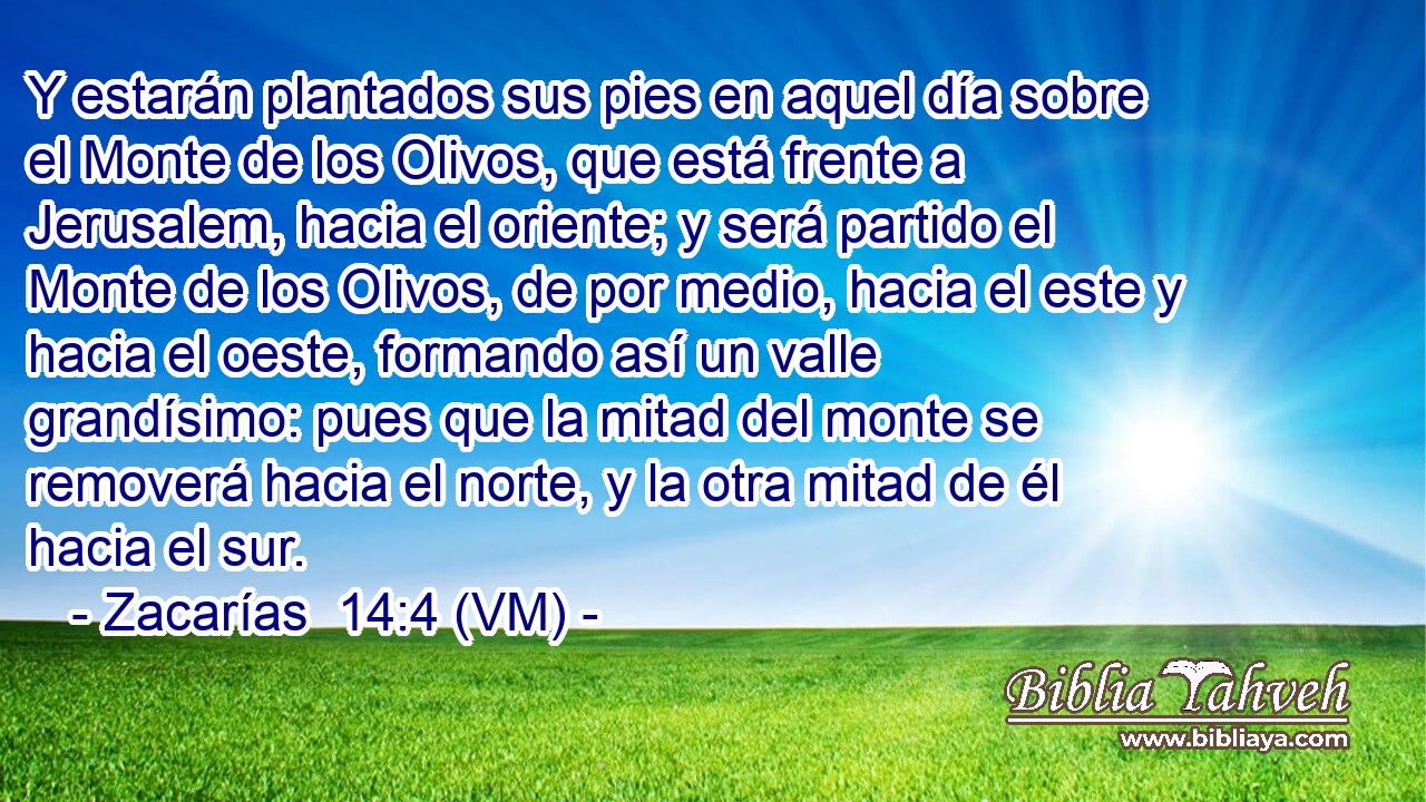  Y estarán plantados sus pies en aquel día sobre el Monte de los Olivos, que está frente a Jerusalem, hacia el oriente; y será partido el Monte de los Olivos, de por medio, hacia el este y hacia el oeste, formando así un valle grandísimo: pues que la mitad del monte se removerá hacia el norte, y la otra mitad de él hacia el sur. 
