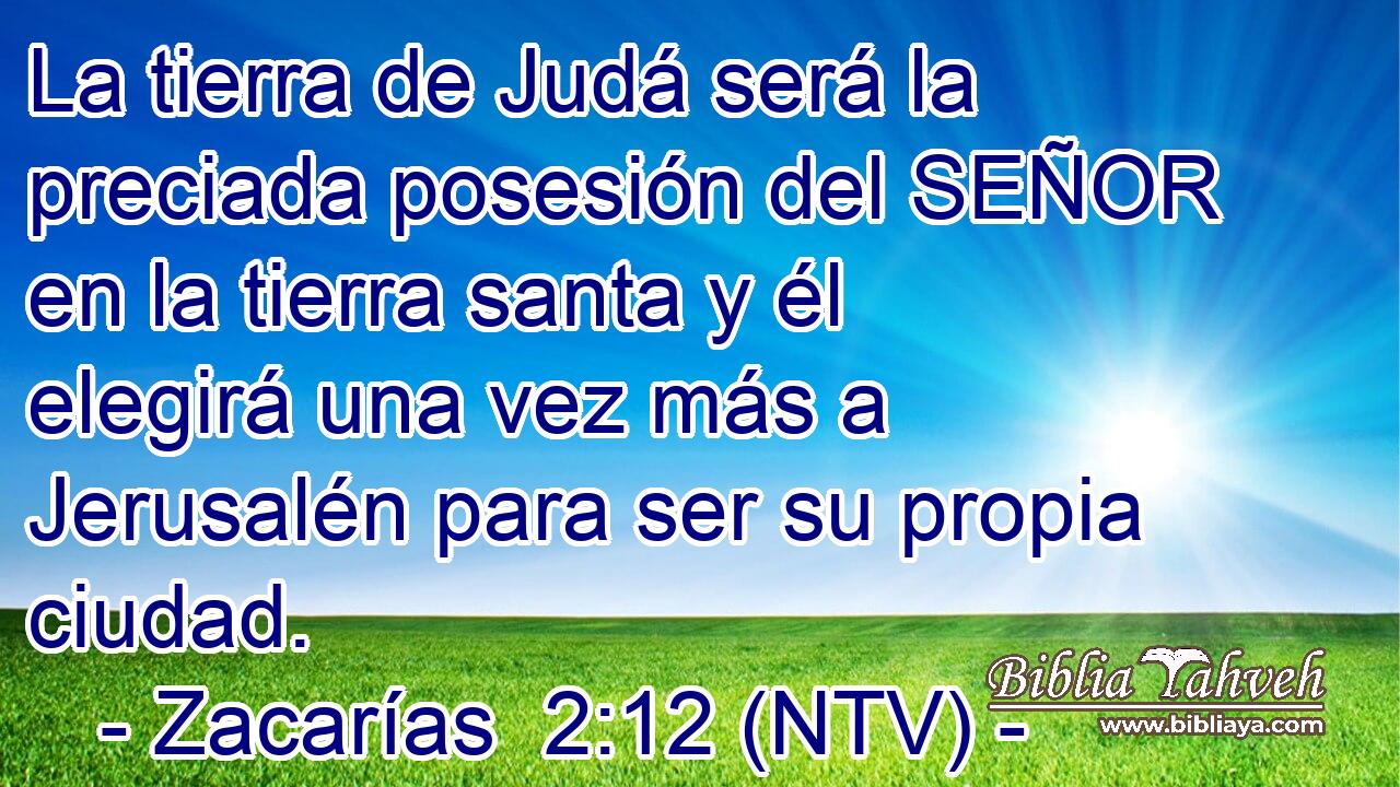 La tierra de Judá será la preciada posesión del SEÑOR en la tierra santa y él elegirá una vez más a Jerusalén para ser su propia ciudad.